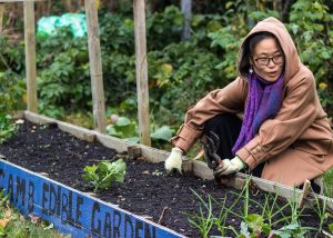 A woman wearing glasses, a tan hooded coat, and a purple scarf is crouched next to a raised garden bed. She is holding gardening shears and appears to be working on the soil. The garden bed has a blue sign that reads "CAMB EDIBLE GARDEN" and contains young plants and green shoots. The background is filled with lush greenery.